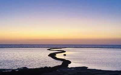 ¿Dónde está tu foco?